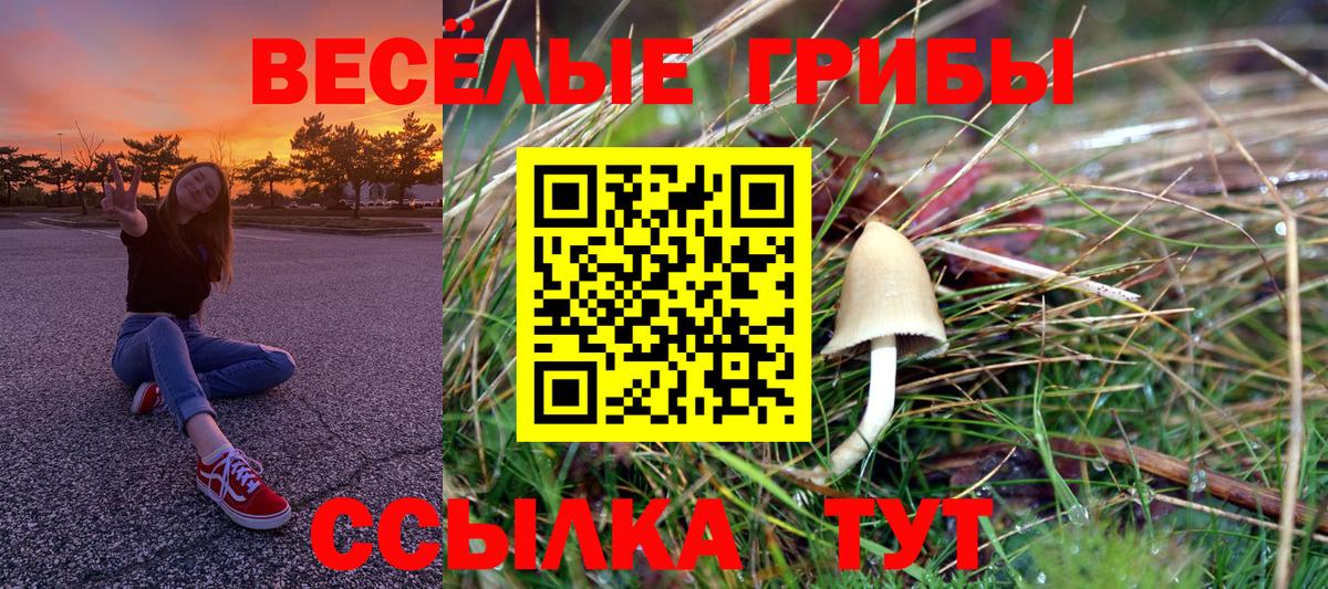 Псилоцибиновые грибы мицелий Фрязино
