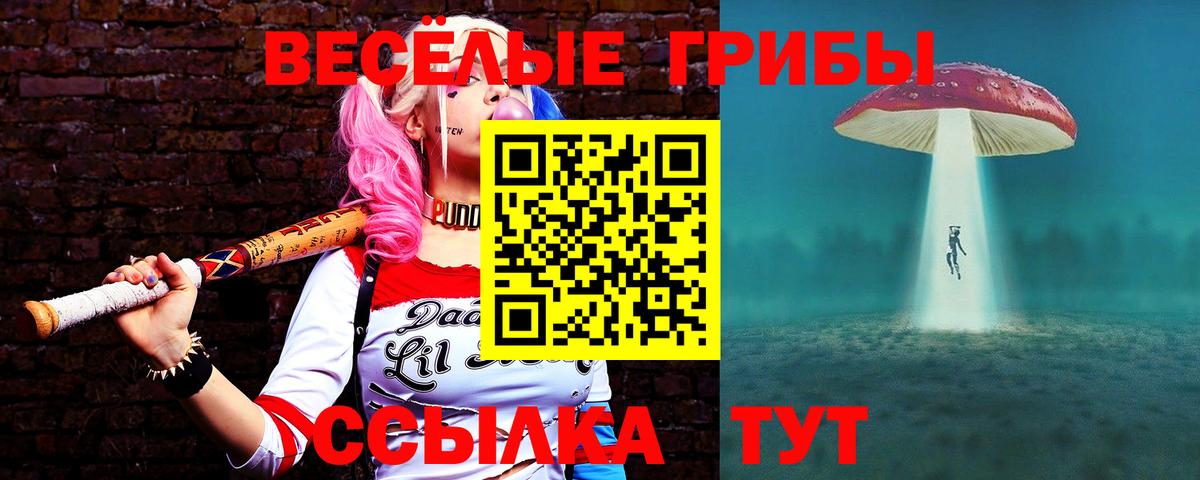 Фрязино  Галлюциногенные грибы мухоморы  Псилоцибиновые грибы мицелий  Вход с VPN 